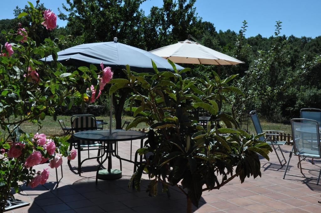 Hotel Rural Aguallevada Paramio Екстериор снимка